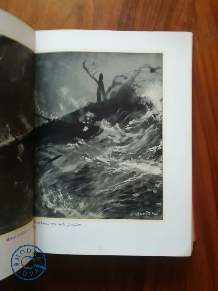 JULES VERNE - Nový hrabě Monte Christo