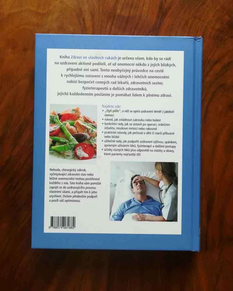 MICHAEL HEMMINGSON - Zdraví ve vlastních rukách