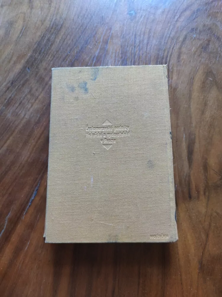 WILLIAM MACLEOD RAINE - Královna vaquerů