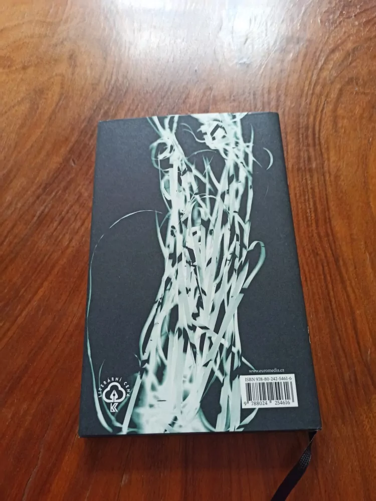 PATRIK GIRGLE - Vertigo