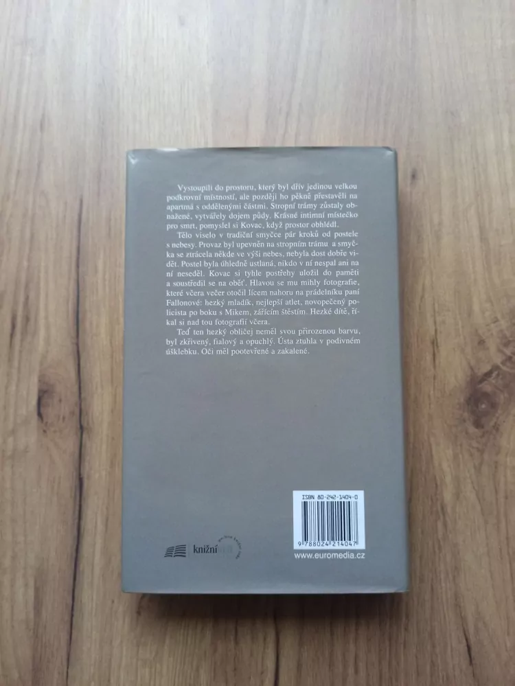 TAMI HOAG - Prach prachu