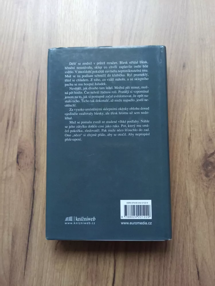 TAMI HOAG - Minulá provinění