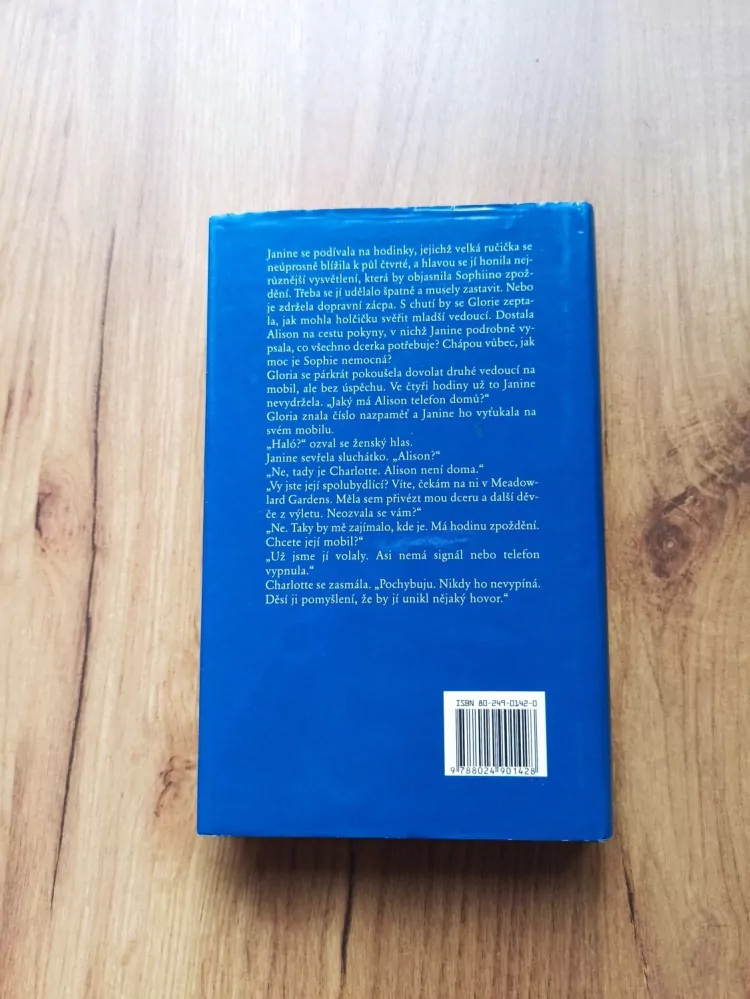 DIANE CHAMBERLAIN - Strom odvahy