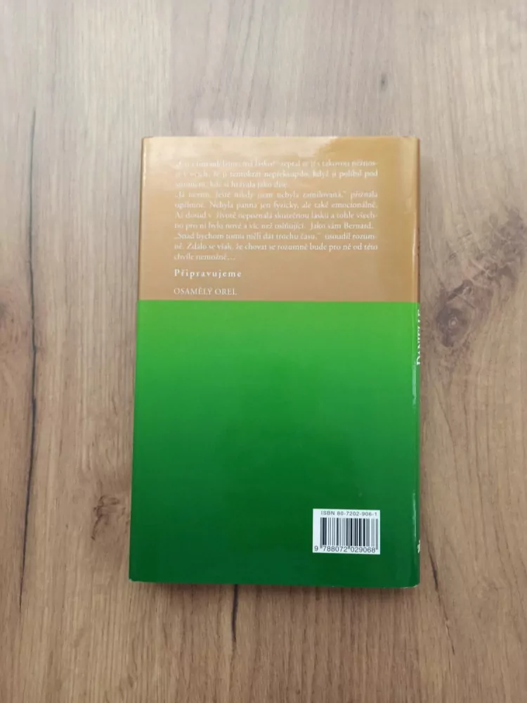 DANIELLE STEEL - Odvážné rozhodnutí