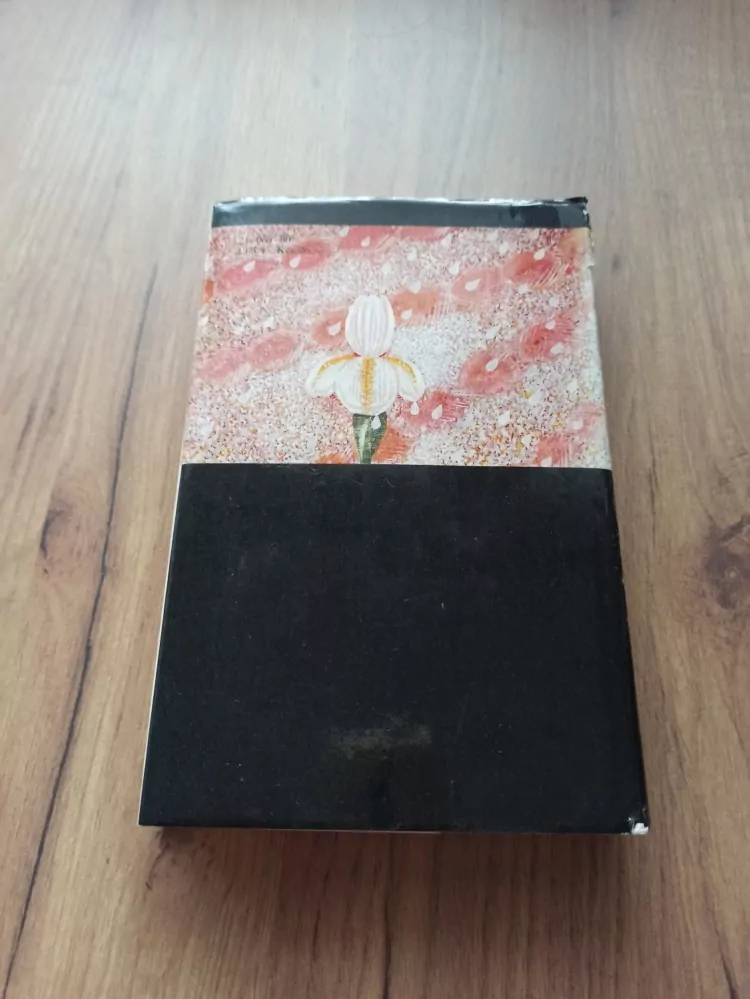 MARIANNE BRUNSOVÁ - Devátý syn Víta Stosse