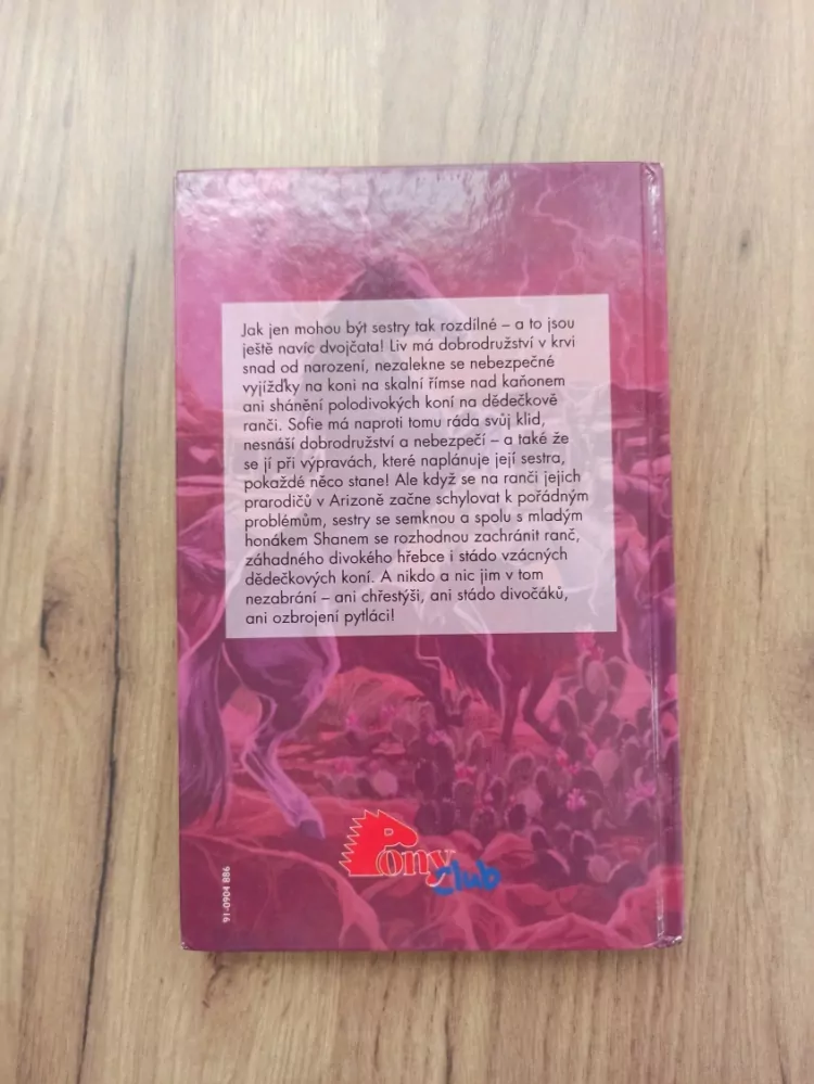 SHARON SIAMON - Potok divokých koní 1. - Záhadný hřebec