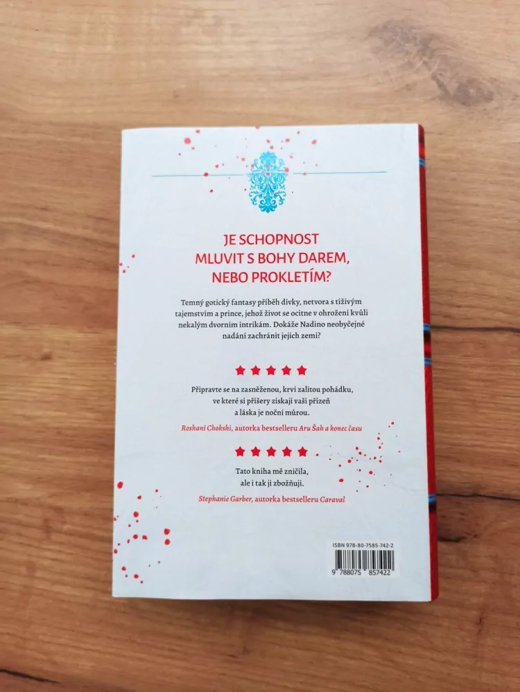 EMILY A. DUNCAN - Hříšní světci