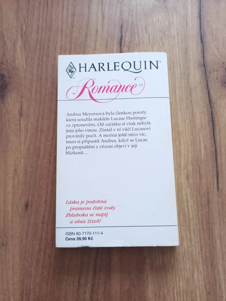 REBECCA WINTERS - Hrdina na volné noze