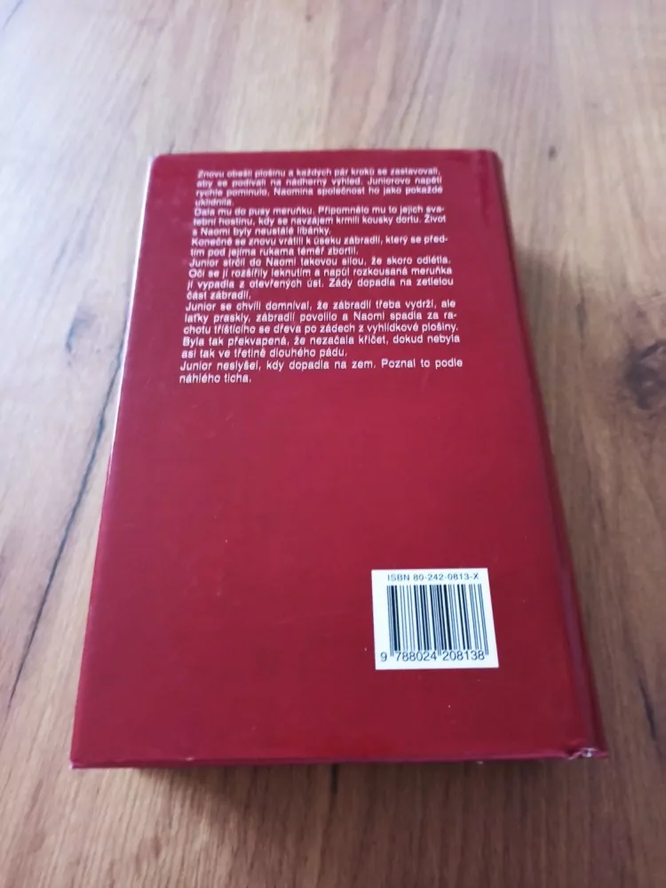 DEAN KOONTZ - Koutkem oka