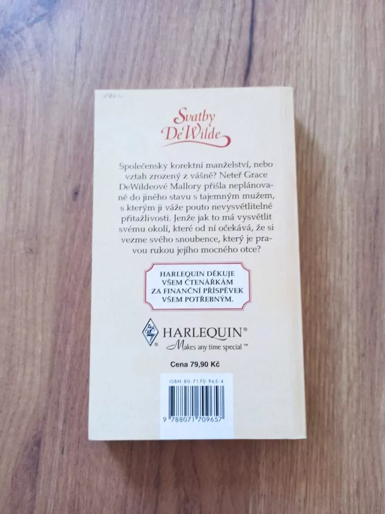 JUDITH ARNOLD - Tajemný cizinec