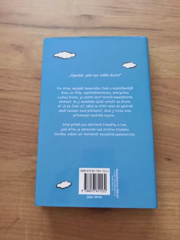 JACQUELINE WILSON - Anděl Vicky