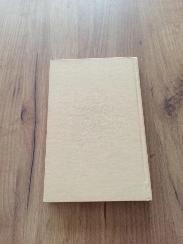 RAY RIGBY - Pahorek z písku