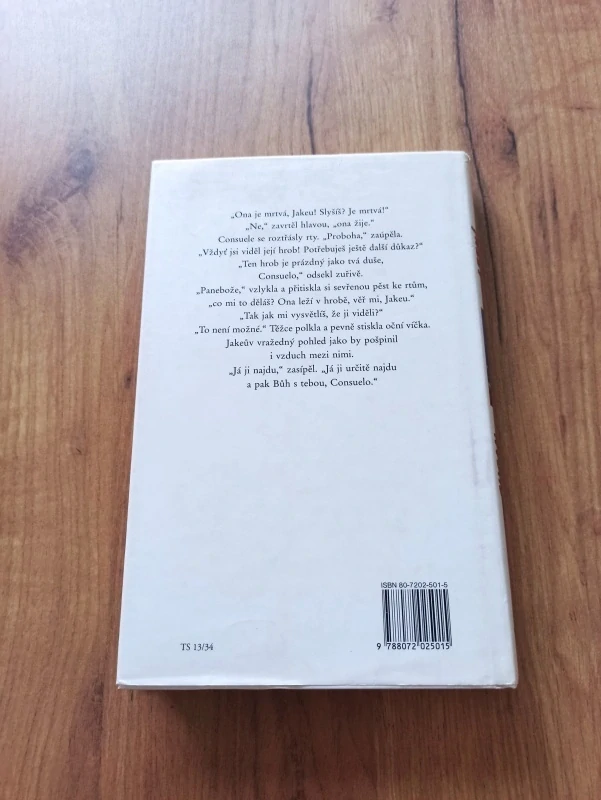 SUSAN LEWIS - Letní šílenství