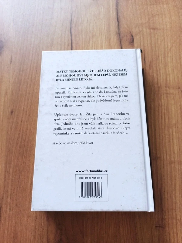 JAN ELLISON - Drobný poklesek