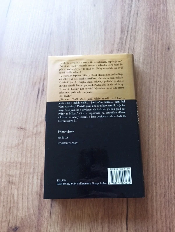 DANIELLE STEEL - Tajemství