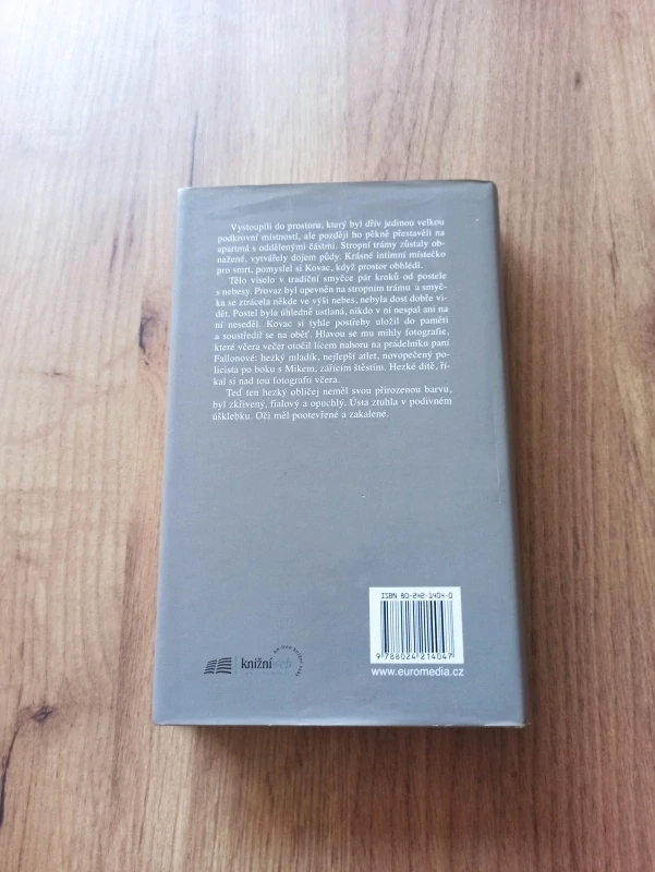 TAMI HOAG - Prach prachu