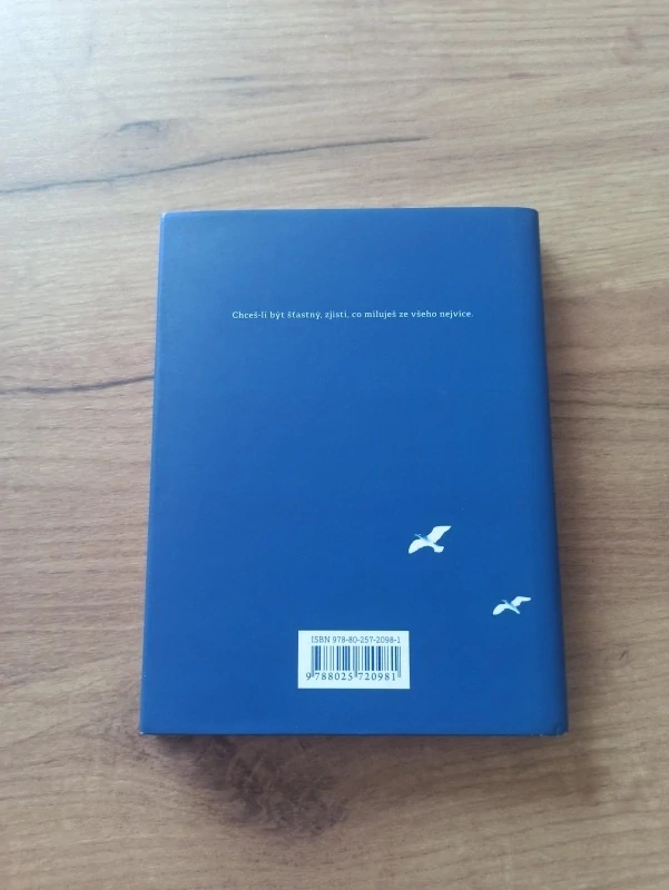 RICHARD BACH - Jonathan Livingston Racek