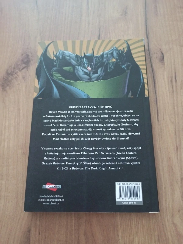 GREGG HURWITZ - Batman: Temný rytíř 3. - Šílený