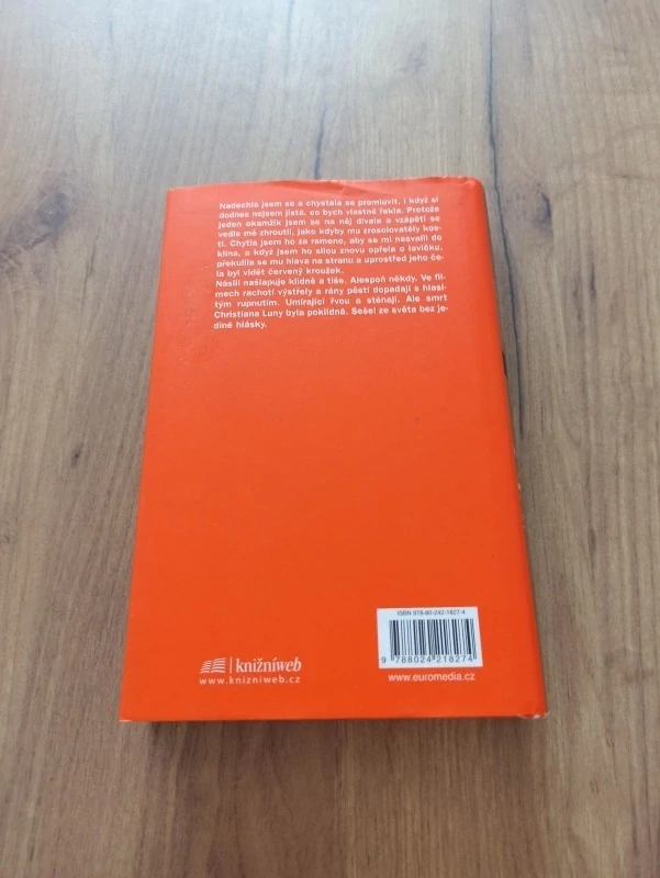 LISA UNGER - Krásné lži