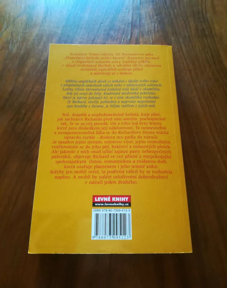 JILL BARNETT - Snění