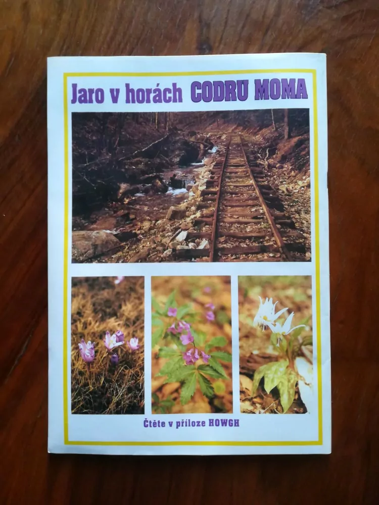 STANLEY CONE - Království divokého muže