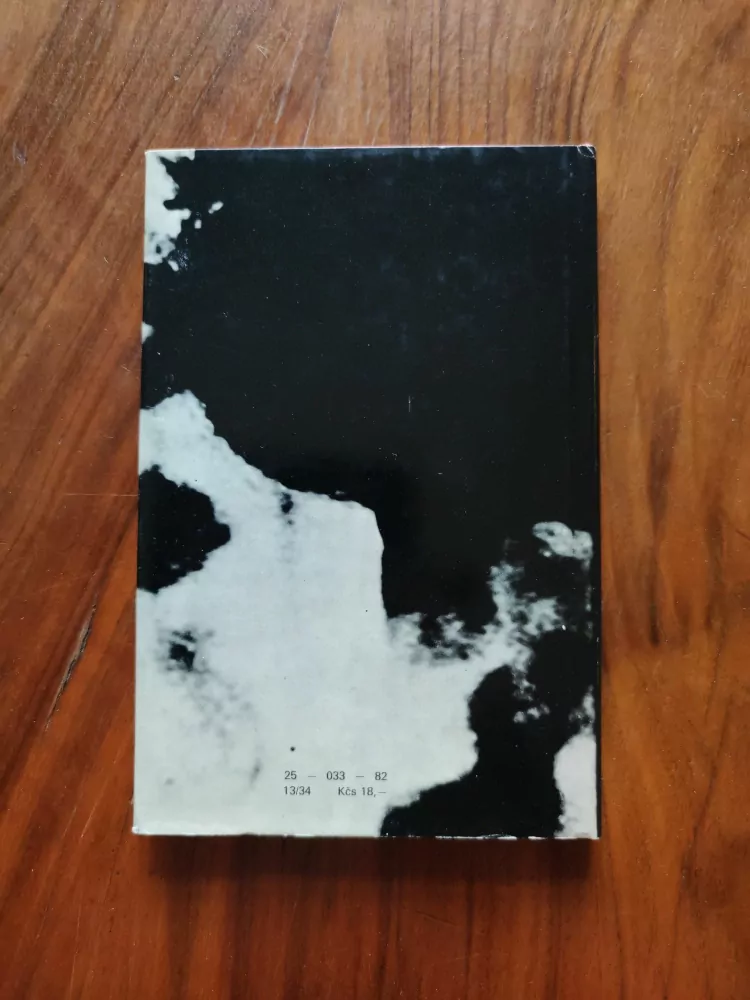 HERVÉ BAZIN - Ohněm proti ohni