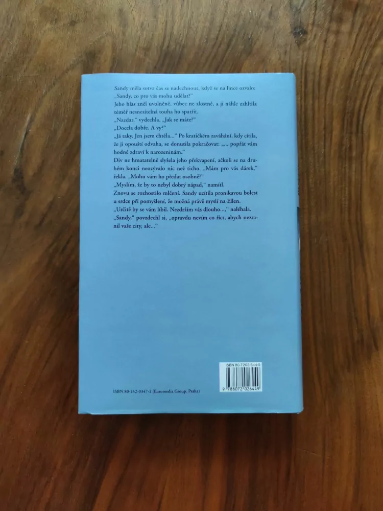 SUSAN LEWIS - Honba za sny