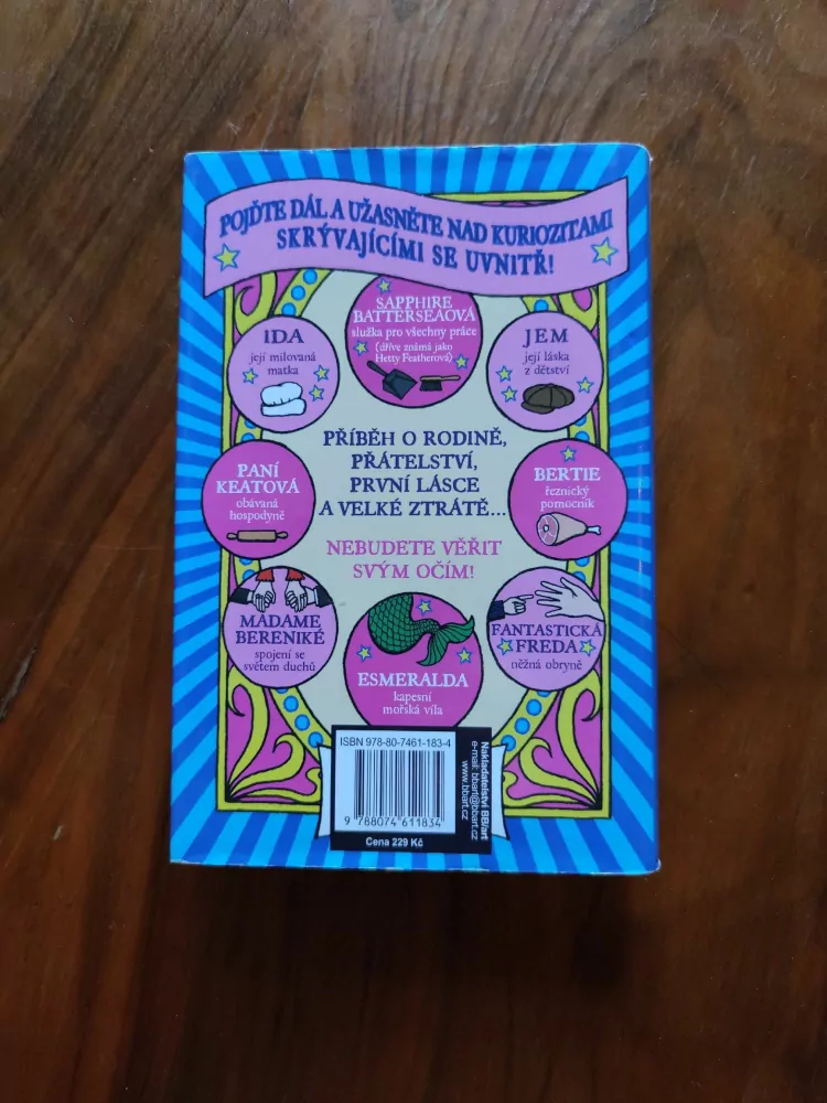 JACQUELINE WILSON - Konec snění