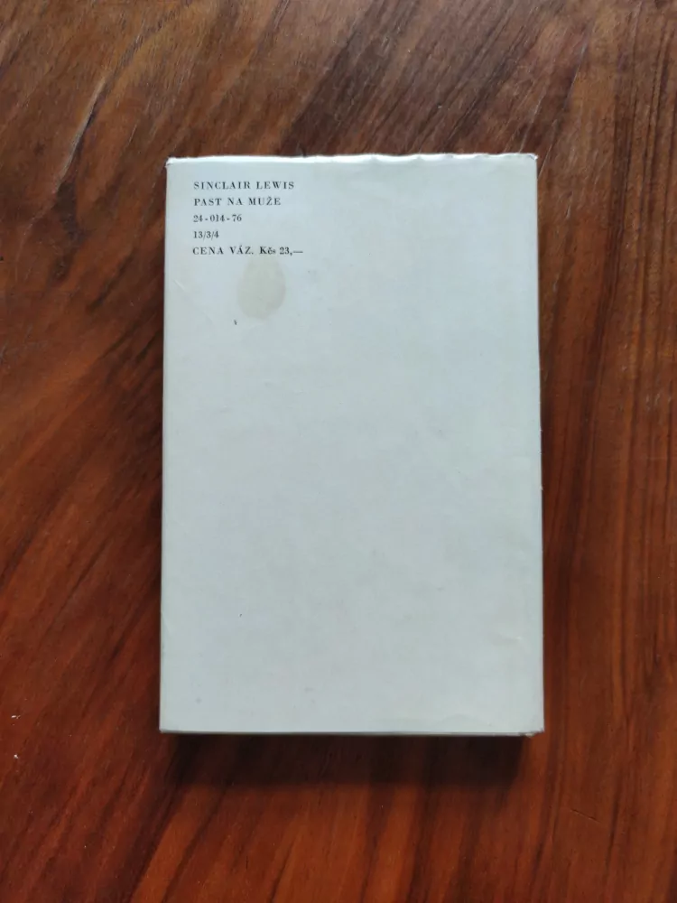 SINCLAIR LEWIS - Past na muže