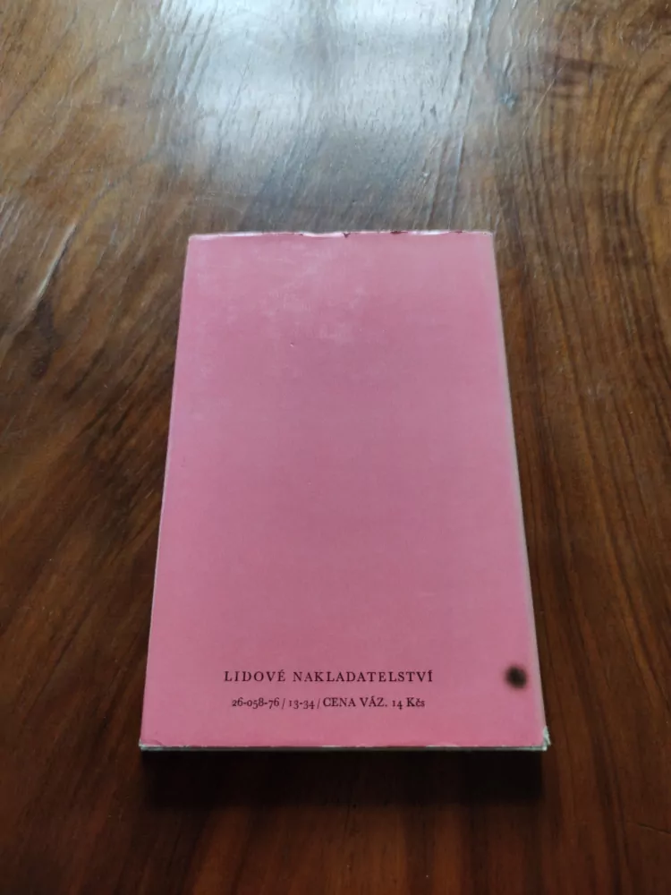 DAVID SCHEINERT -  Proměny lásky a slávy