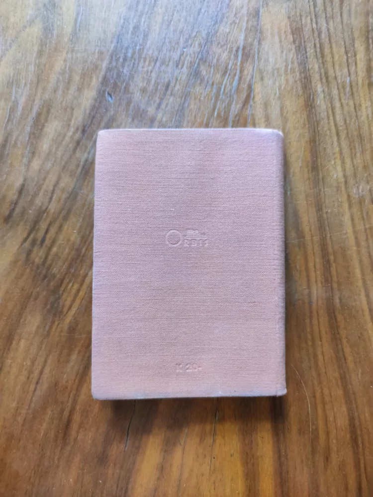 HUGO SIEBENSCHEIN - Čech mezi Němci