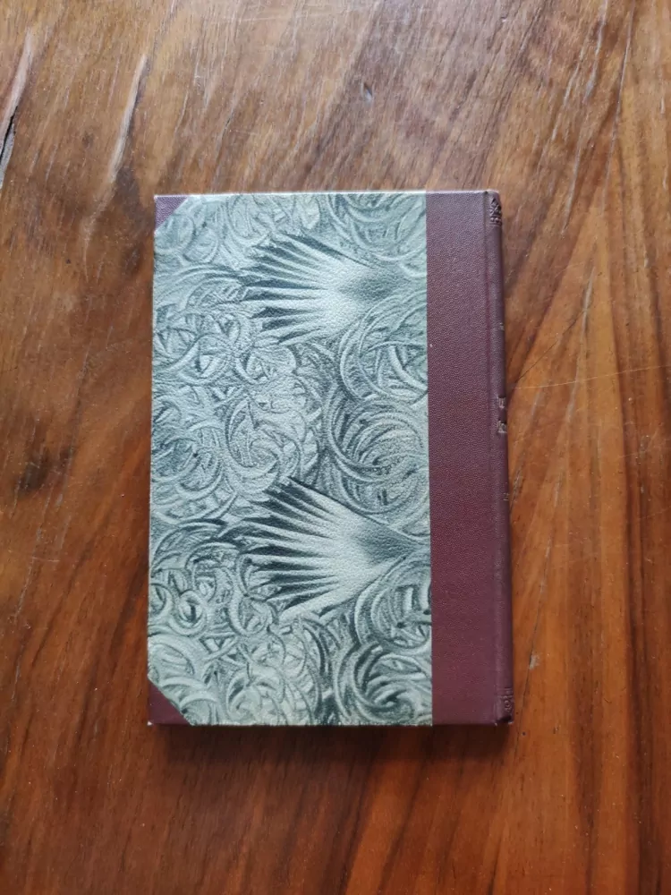 OTTO ERICH HARTLEBEN - O utrženém knoflíčku