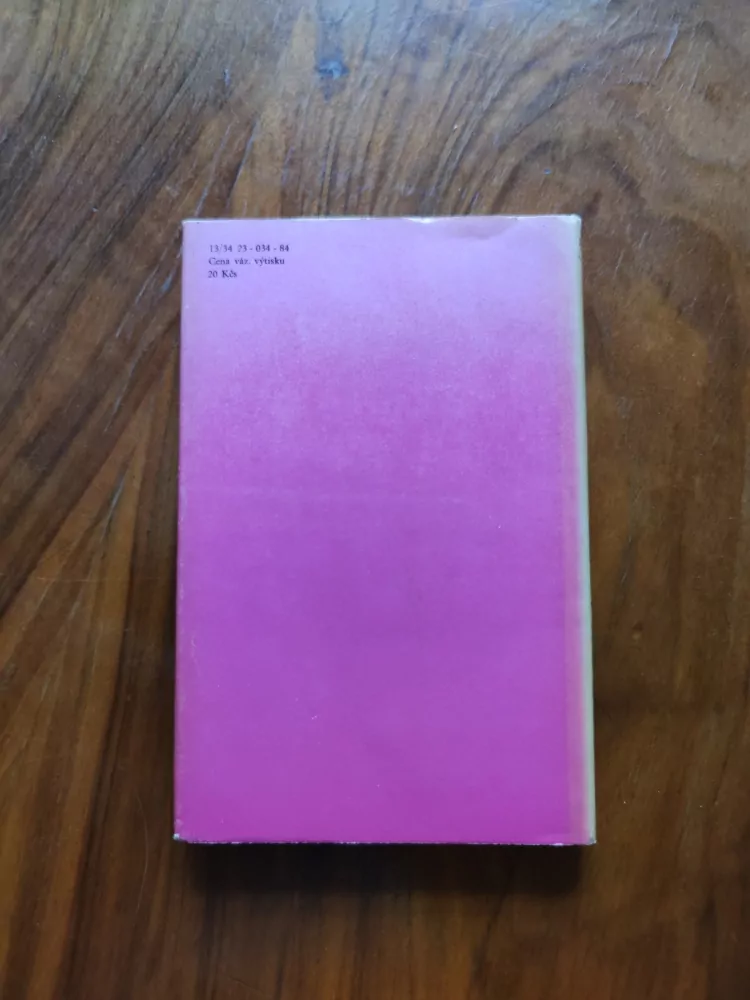 MICHAEL SPRINGER - Co se stalo zítra