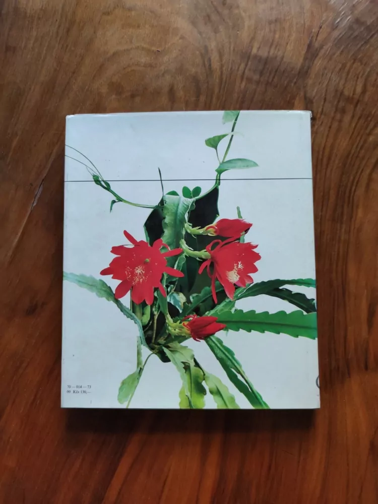 RUDOLF SMAHEL - Flora Olomouc