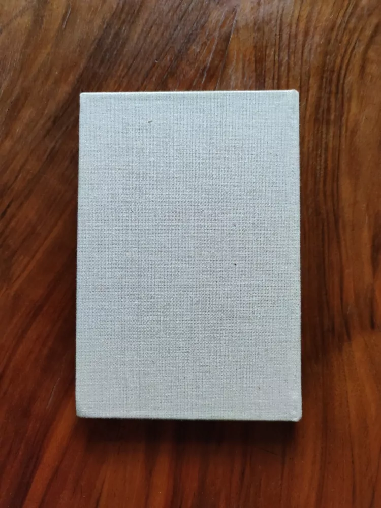 JARMILA ČERNÍKOVÁ - Poslední prázdniny