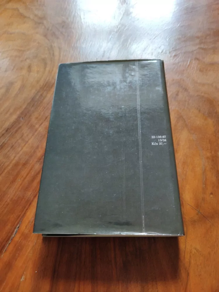 PIERRE PETITFILS - Verlaine