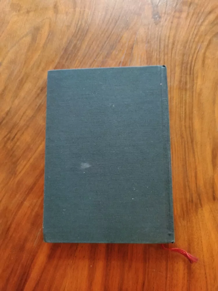 AUGUST STRINBERG - Syn služky