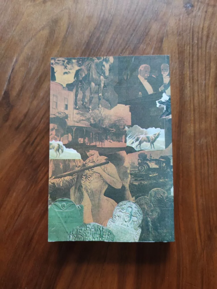 FRANCIS BRET HARTE - V údolí Sacramenta