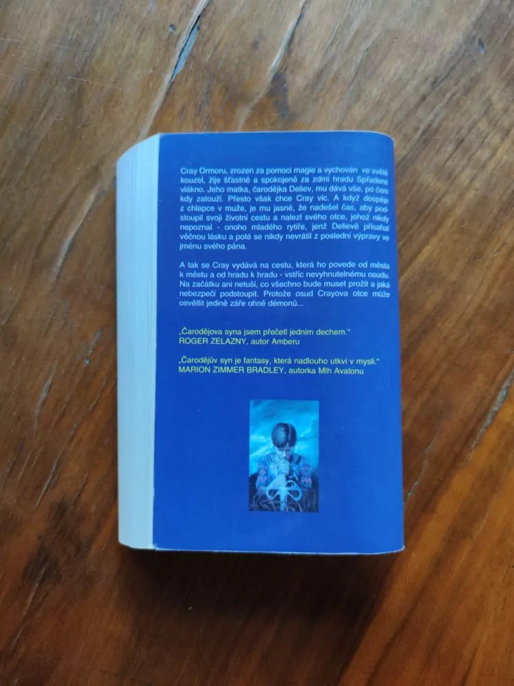 PHYLLIS EISENSTEIN - Čarodějův syn