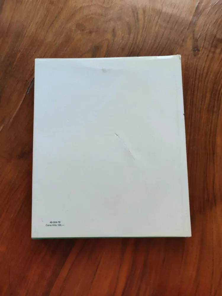 VLADIMÍR BRANDEJS - Orlické hory