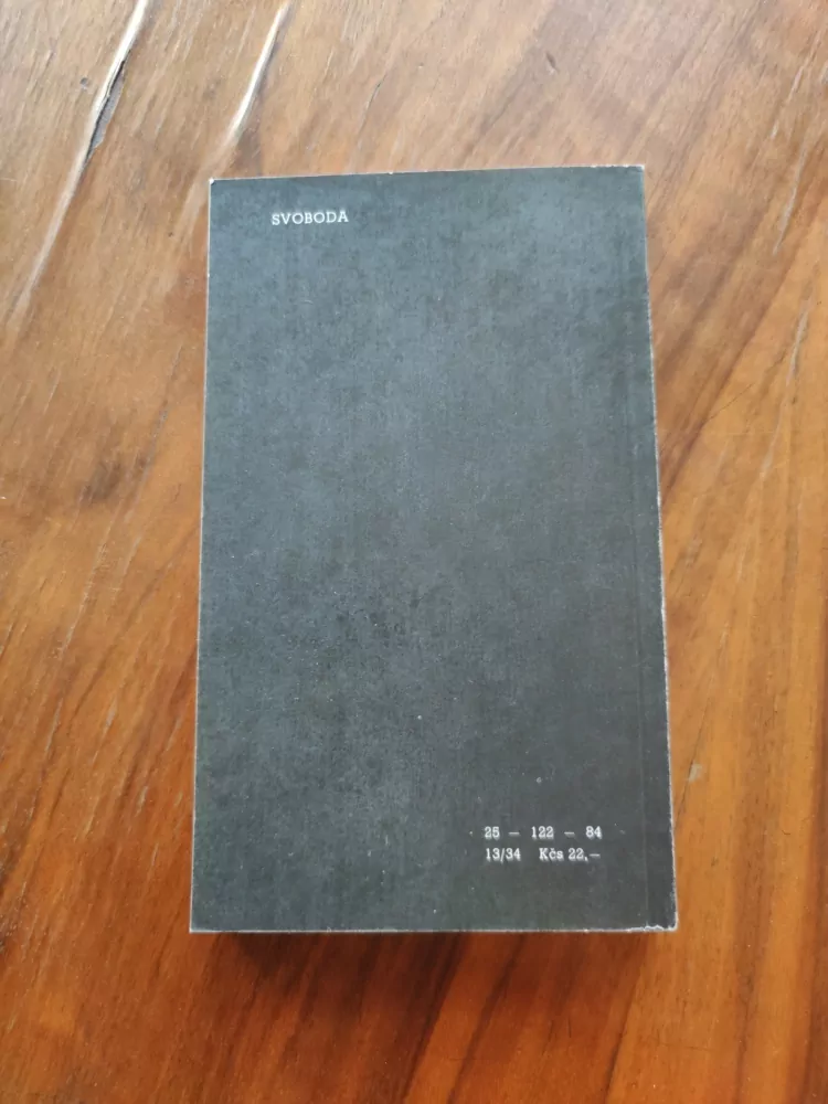 EVAN HUNTER - Džungle před tabulí