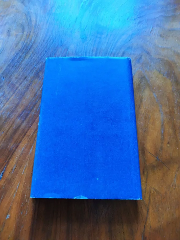 HERVÉ BAZIN - Rozvedená paní