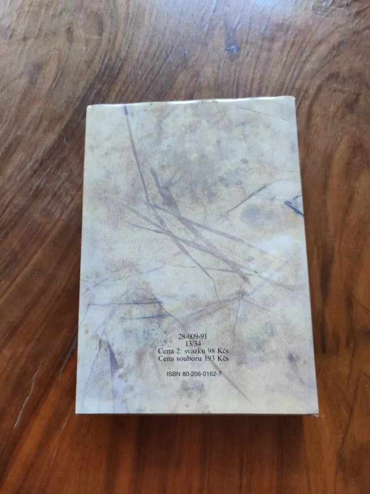 MARGARET MITCHELL - Jih proti Severu 2