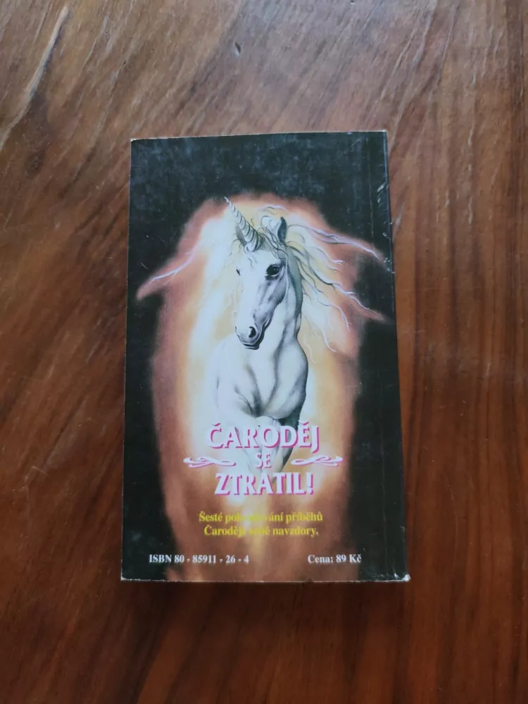 CHRISTOPHER STASHEFF - Čaroděj se ztratil!