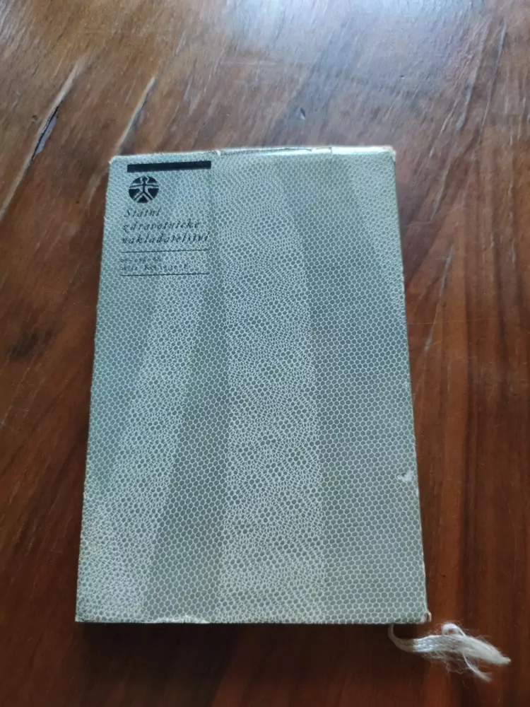 HANNAH MAYER STONE, ABRAHAM STONE - Kniha o manželství