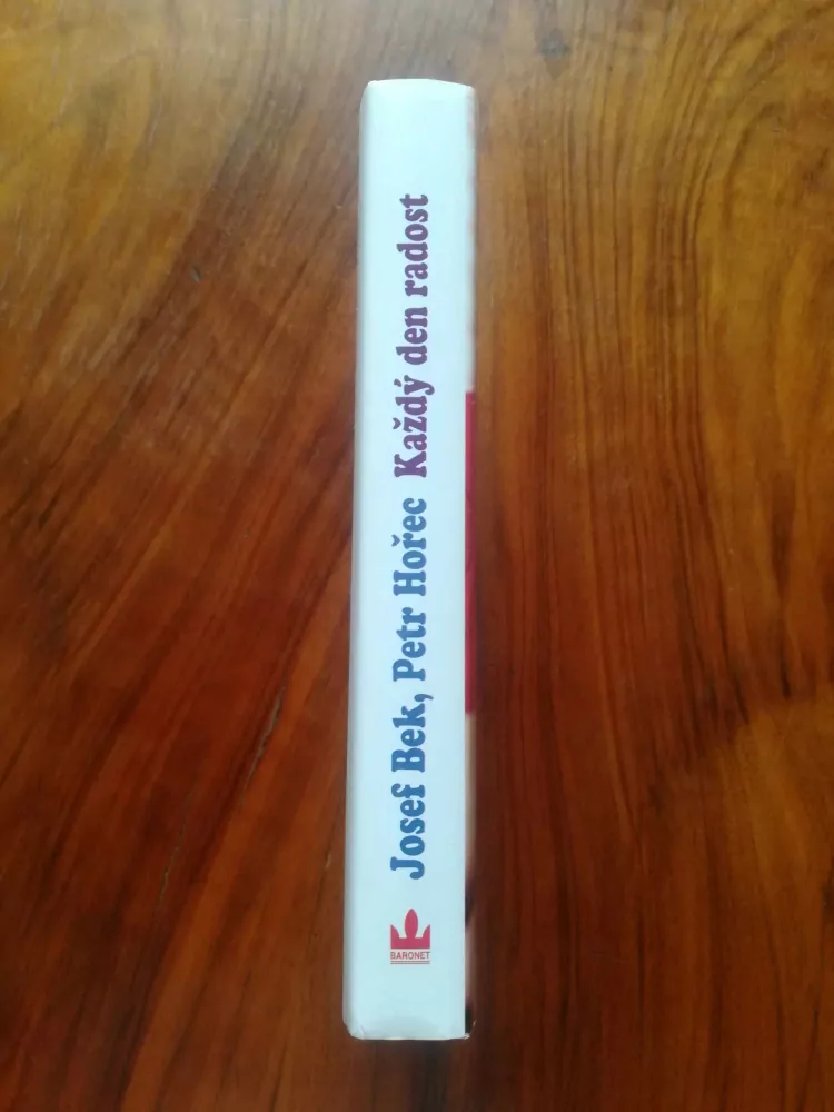 JOSEF BEK, PETR HOŘEC - Každý den radost