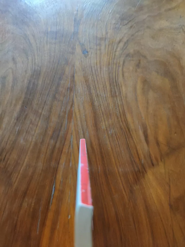 JANE EDWARDS - Posedlá láskou