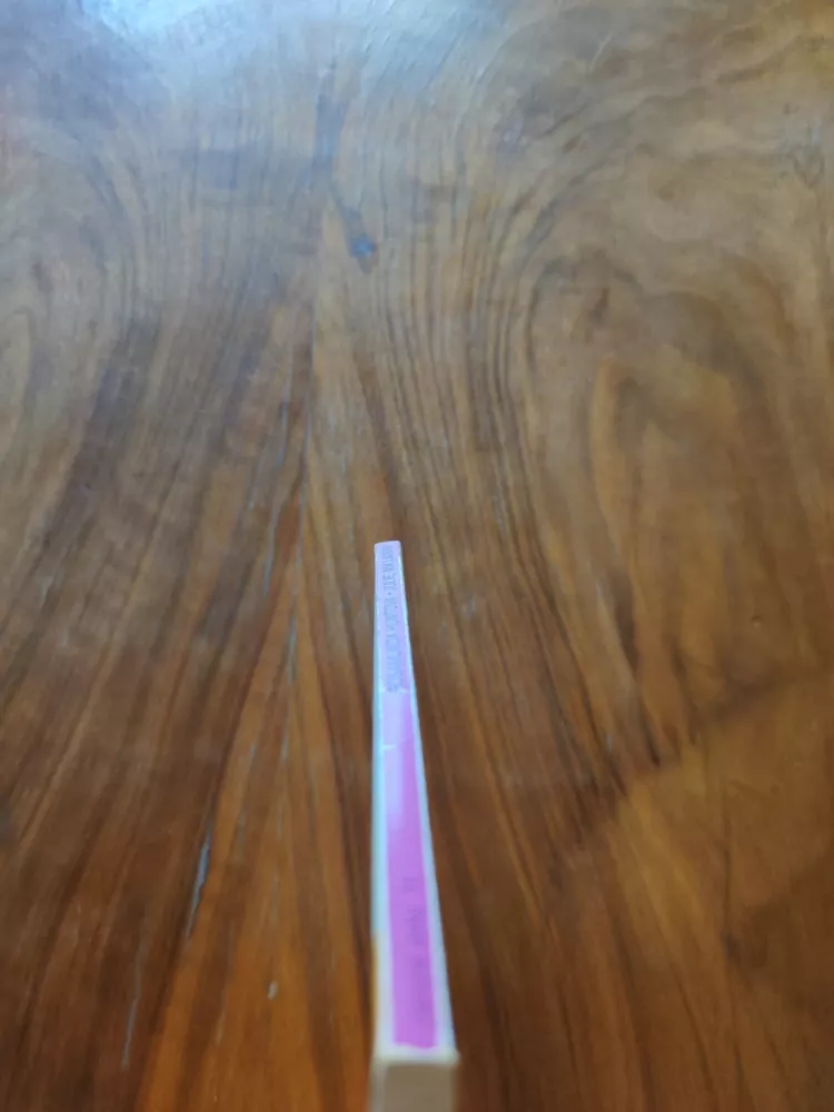 ROSAMUNDA HUNT - Julie, má lásko