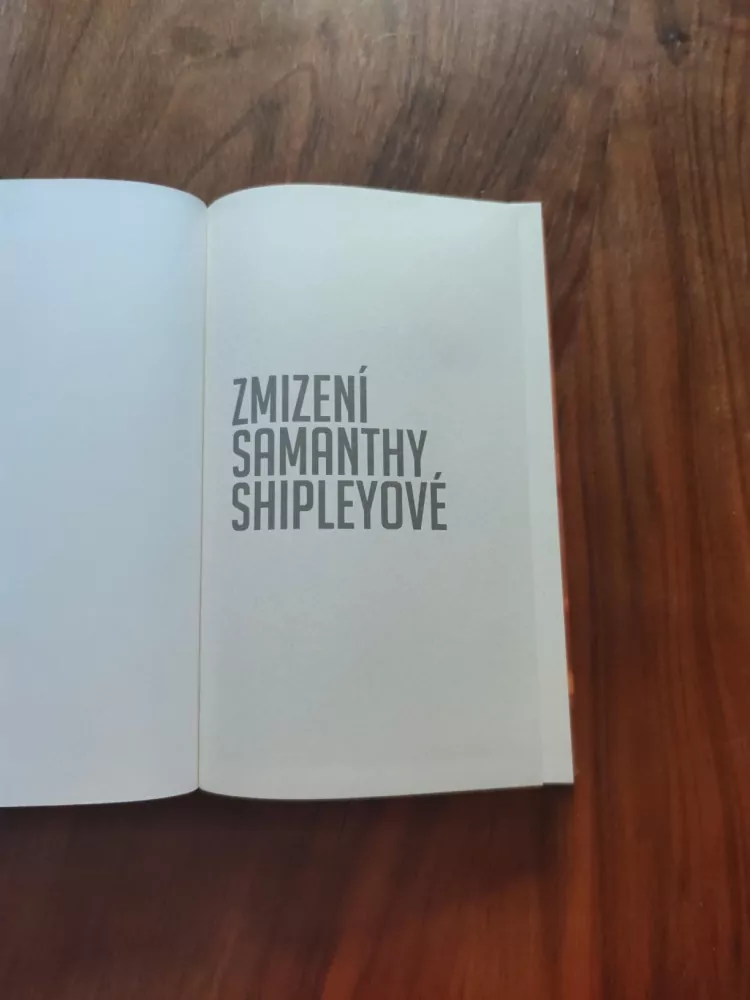 JOY FIELDING - Zmizení Samanthy Shipleyové