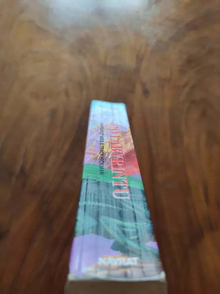 MARGARET WEIS, TRACY HICKMAN - Brána smrti 6. - Do Labyrintu